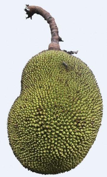 bali 2.jpg