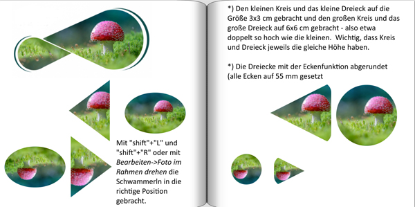 schwamm-5.jpg