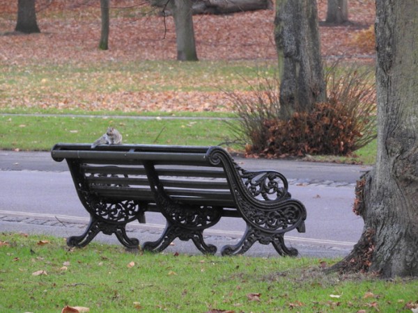 greenwich.jpg