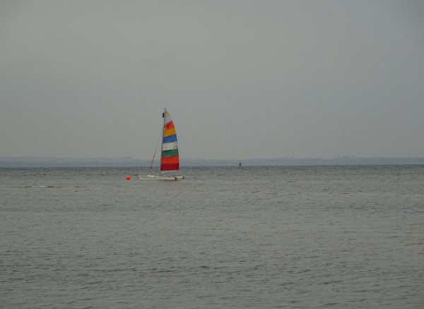 DSC02238b.JPG