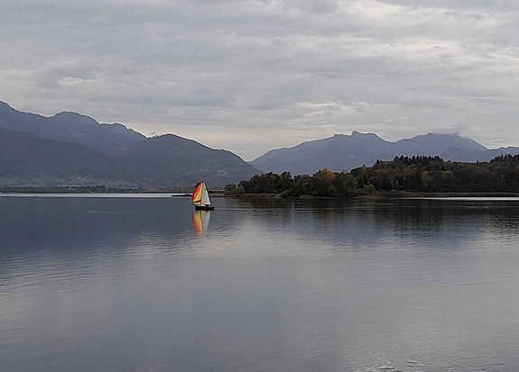 20201023_142850.JPG
