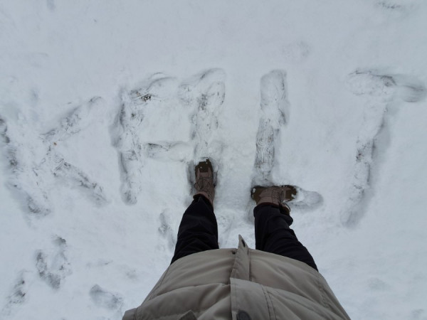 20201205_142532.jpg