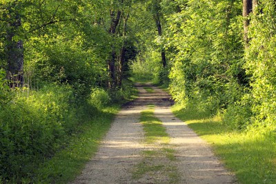 Spazierweg.jpg