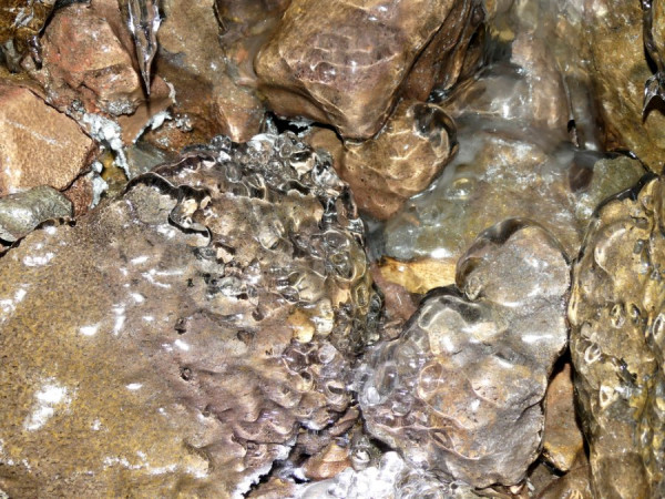 P1010728.JPG