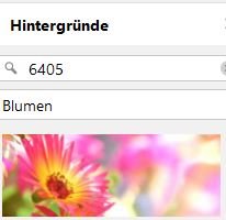 6405_Hintergrund.JPG