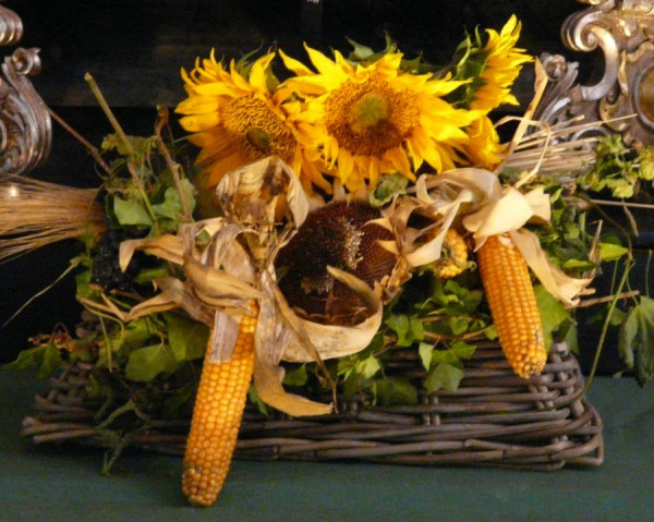 P1060789a.jpg