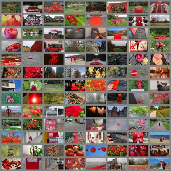 Challenge 2021-10 Ohne Rot alles unbunt.jpg