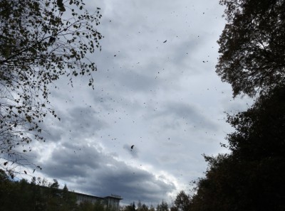 Wolken2.jpg