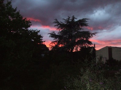 DSCF5396_1.JPG