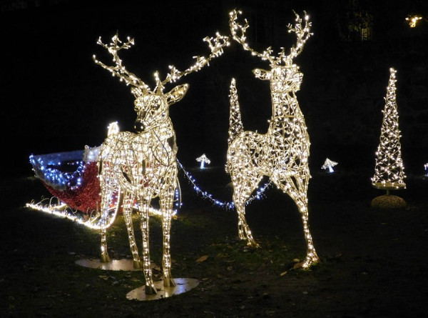 2212_Weihnachtsmarkt-Rentiere.jpg