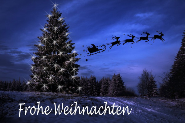 Weihnachtsbaum mit Rentieren.jpg