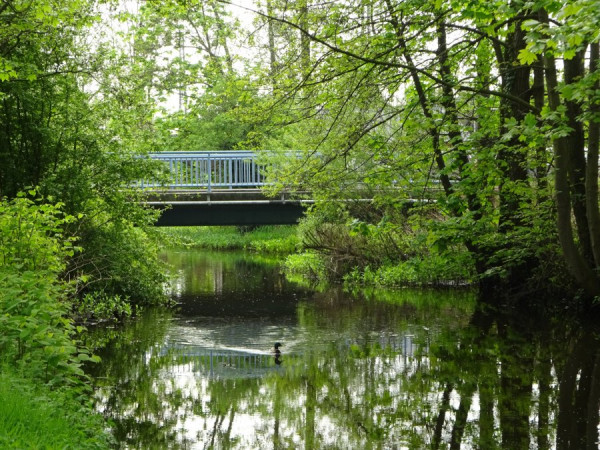 Brücke über die Seeves.JPG