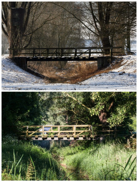 Lieblings-Brücke.jpg