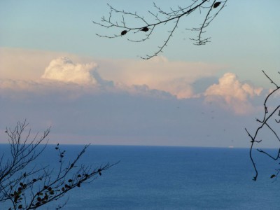 P1010183.jpg