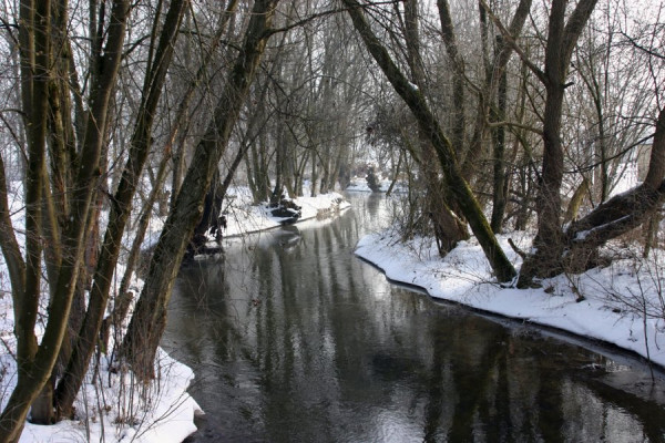 Winterzauber.jpg