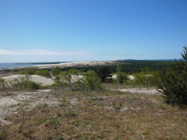DSCI0674.JPG