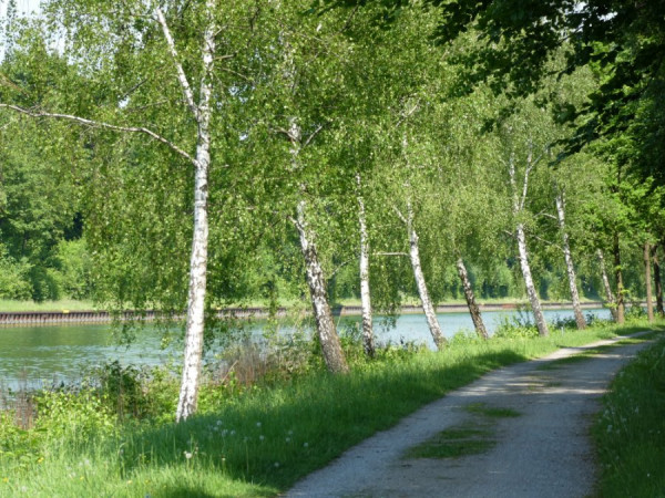 P1010361s.JPG