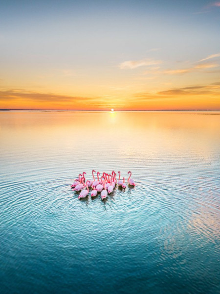 FR-FR-Nature_&_Wildlife-2771663.jpg