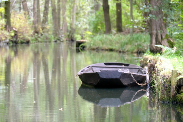 2024-10-06_FZ1229_Spreewald.JPG