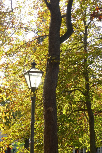 P1220393_klein.jpg