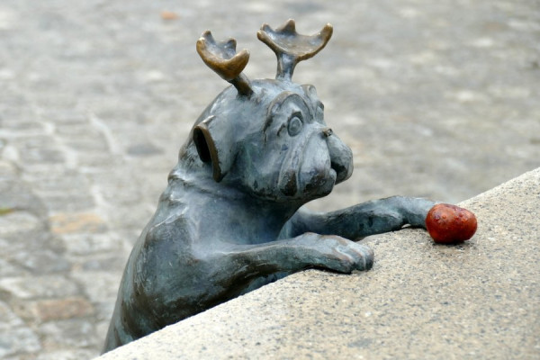 2024-09-28_FZ0766_Brandenburg-Havel.JPG