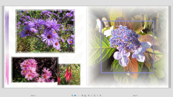 Screenshot (42).png