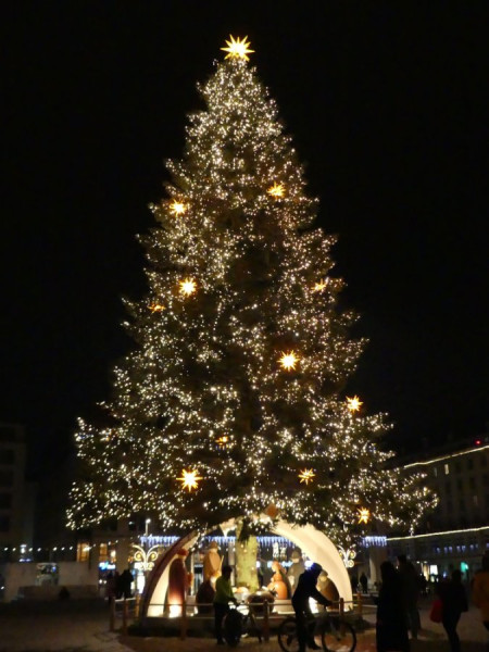 P1580751.JPG