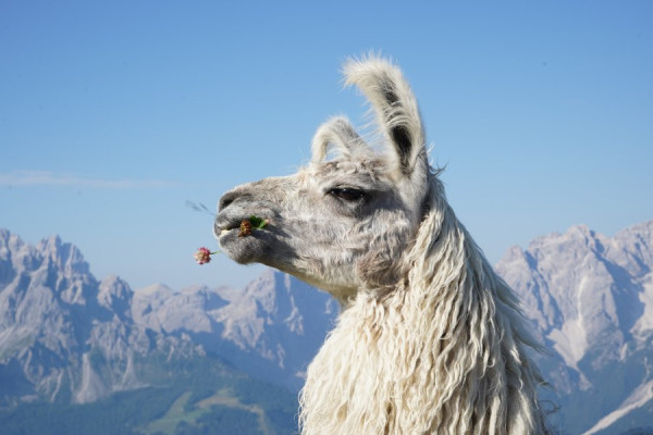 AT-AT-Young_Talent_Award-3060311-min.jpg