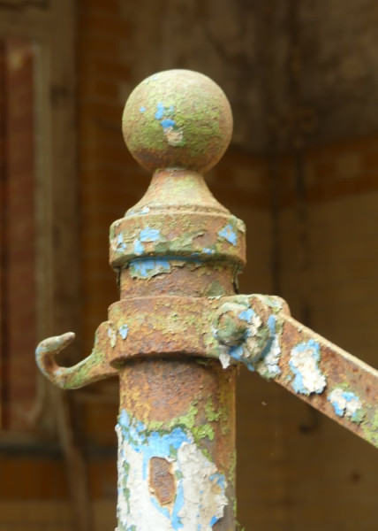 Closeup_3.JPG