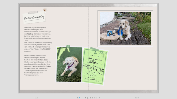Screenshot (4).png