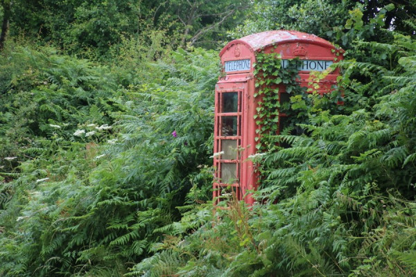 0810_Suedengland.JPG