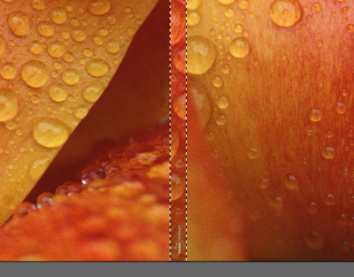 2013-12-09_15h13_30.png