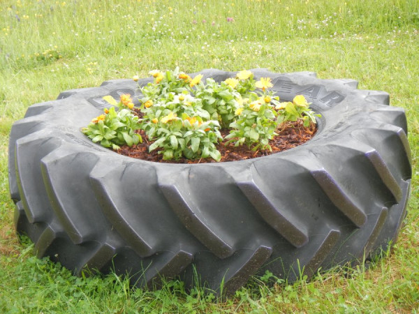 DSCN2195.jpg