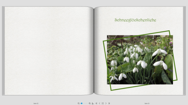 Screenshot (98).png