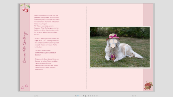 Screenshot (37).png