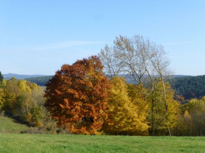 herbst.jpg