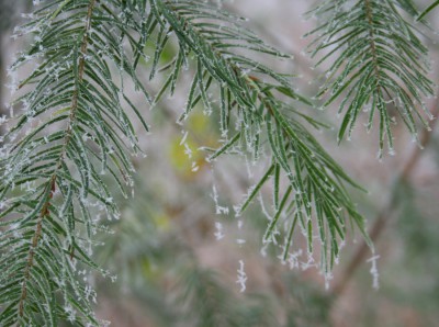 071222_0361_Eiszauber.jpg