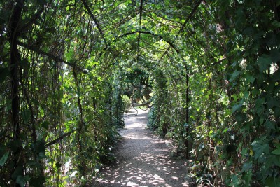 Grüner_Tunnel.jpg