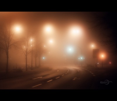 6799683772_933e2c0a16_z[1].jpg