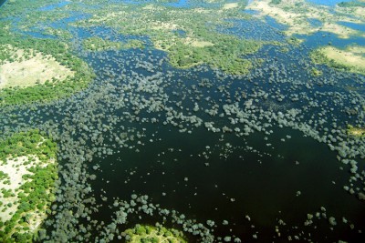 Botswana Okavangodelta2.jpg