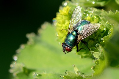 DSC_5277-2.jpg