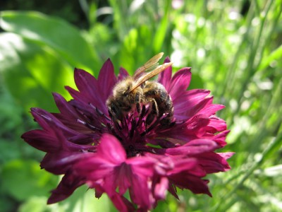 comp_IMG_3223.jpg
