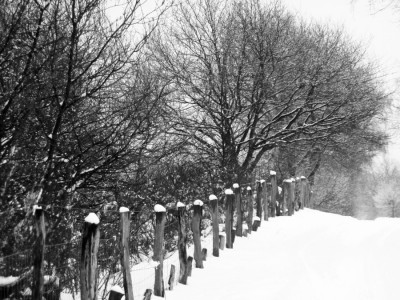 Winterspaziergang.JPG