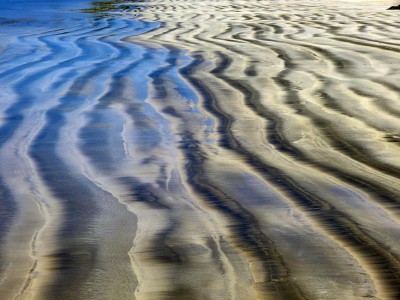 Watt_800x600.jpg