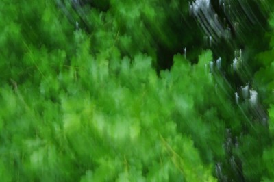 DSC_7308.jpg