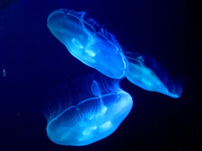 IMG_3332.JPG
