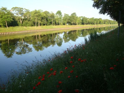 neckarkanal.JPG