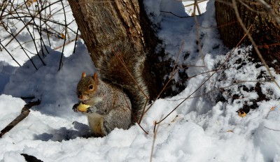 DSC_0065.JPG