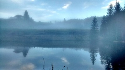 IMG_20141204_160333814_HDR.jpg