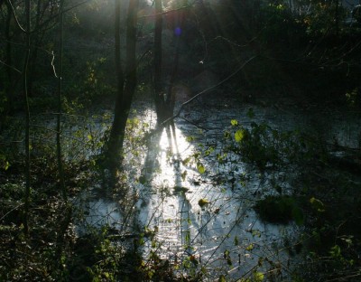sonnenuntergang03.JPG